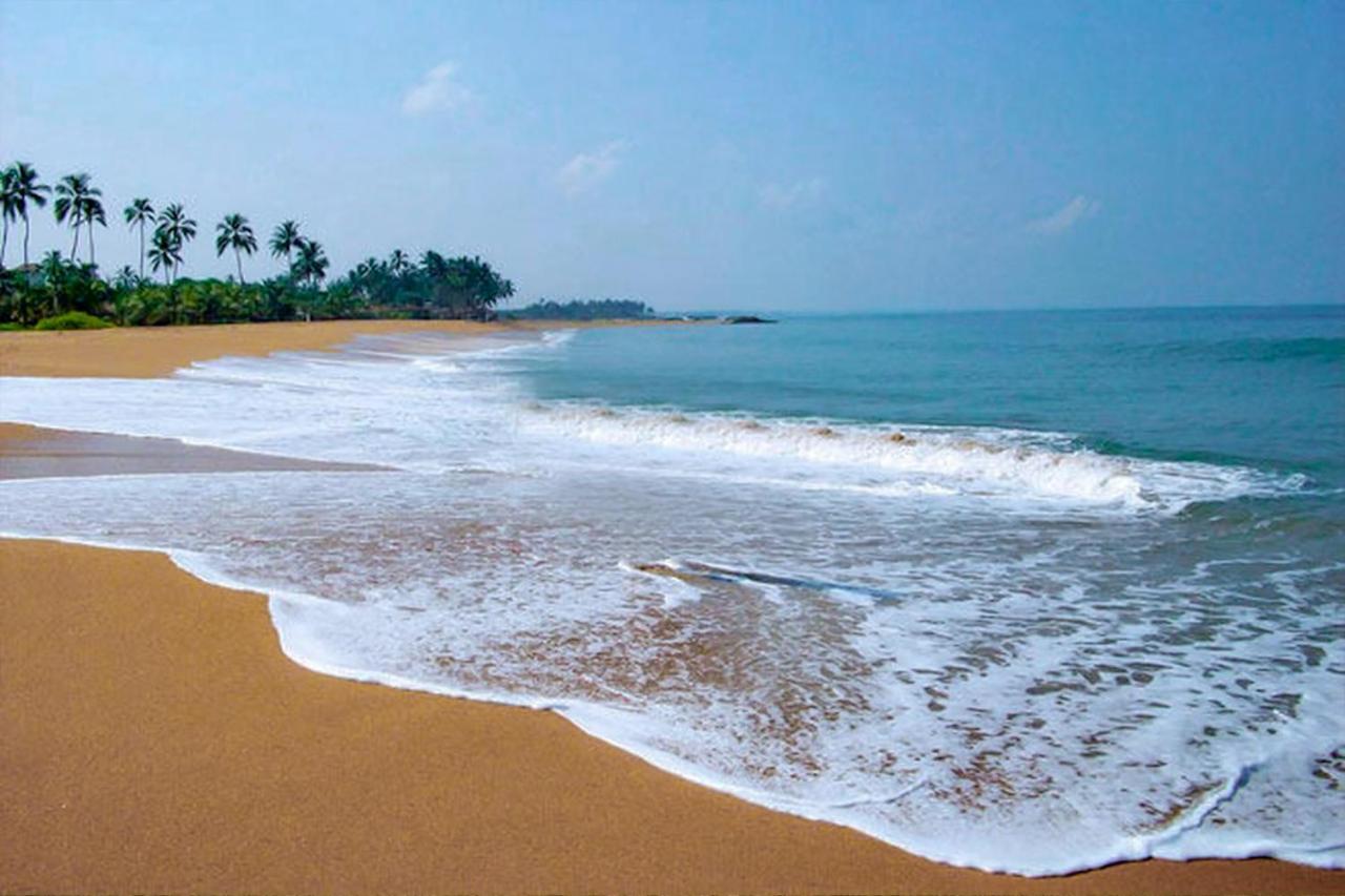 Bohemian Hotel - Negombo Exteriör bild